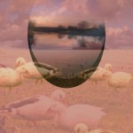 Duck Paradise, 2014  Digital collage